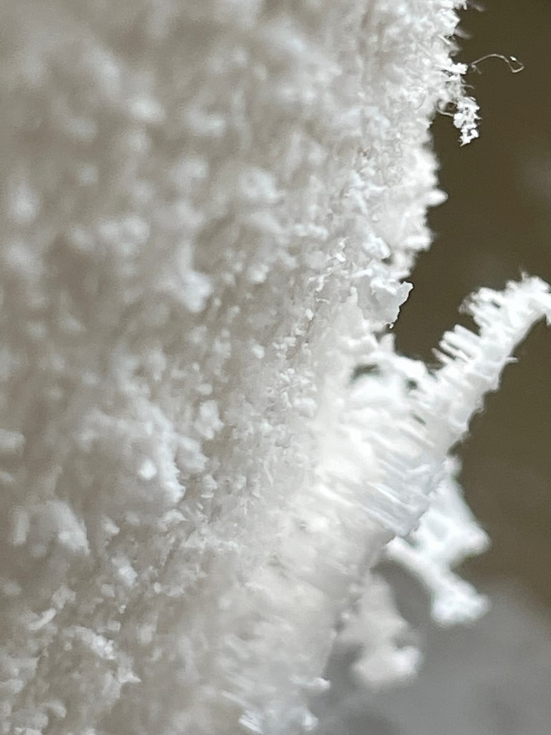 *versalzungsanlagen* dieKunst