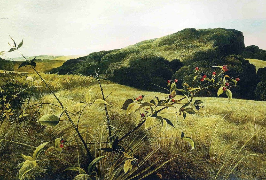 Das Bild ist ein Gemรคlde mit dem Titel Blackberry Picker von Andrew Wyeth, das etwa 1943 entstand.Es zeigt eine detaillierte Landschaft mit einem Brombeerstrauch im Vordergrund und sanften, grรผnen Hรผgeln im Hintergrund.Das Werk wird dem Stil des Magischen Realismus zugeordnet und ist in der Technik Tempera auf Masonit gemalt.