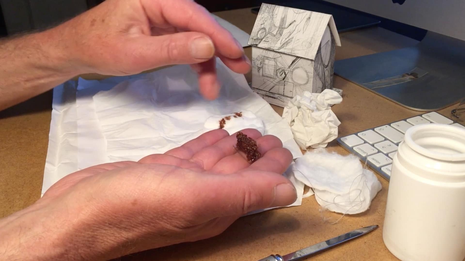 Eine Hand hält kleine braune Partikel über der anderen Hand, auf einem Tisch mit einem weißen Stück Papier, einer Schere und einem Behälter im Hintergrund.