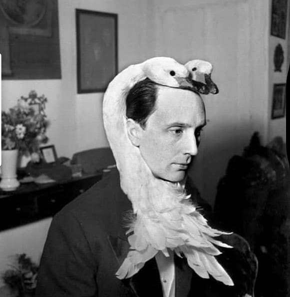 visuelle poesie in schwarz weiß schwanenkostüm