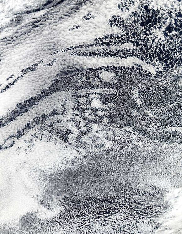 Open-cell and closed-cell clouds off Peru