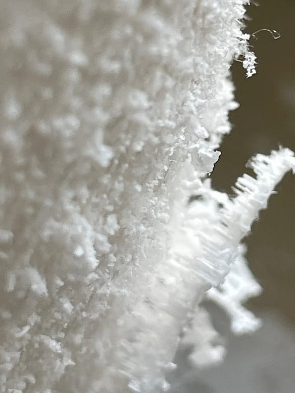 Detail der Salzwucherung