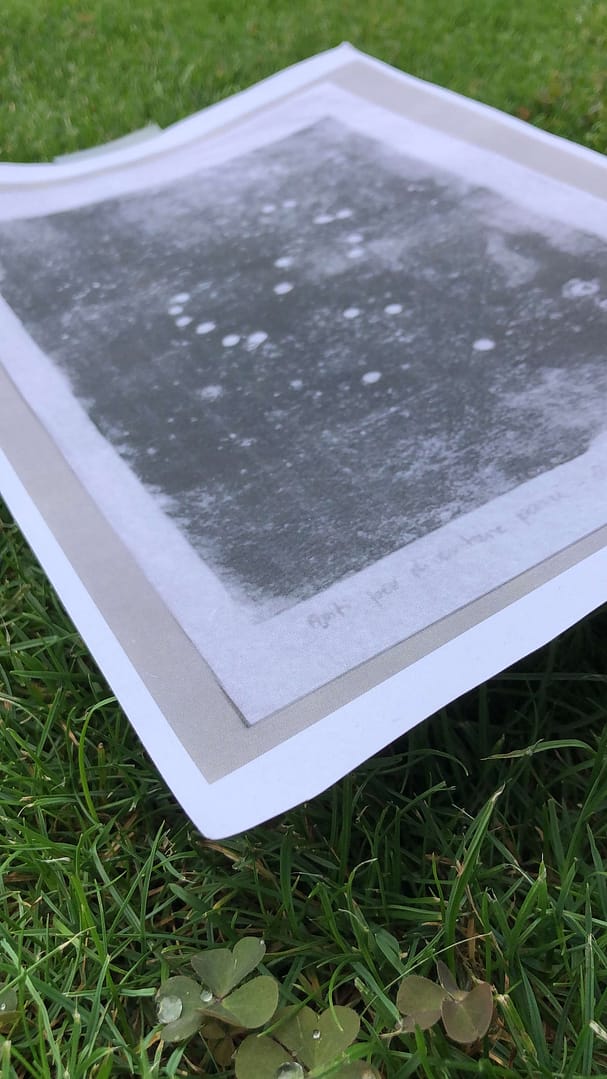 Ein schwarzes und weißes Bild liegt auf grünem Gras, umgeben von kleinen Pflanzen. Das Bild zeigt eine unscharfe texturierte Oberfläche mit einigen Punkten.